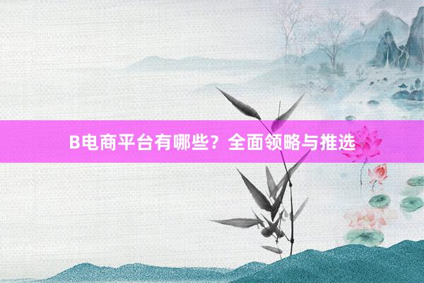 B电商平台有哪些？全面领略与推选