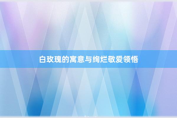 白玫瑰的寓意与绚烂敬爱领悟